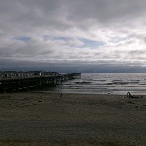 Meet your Posher, Alice